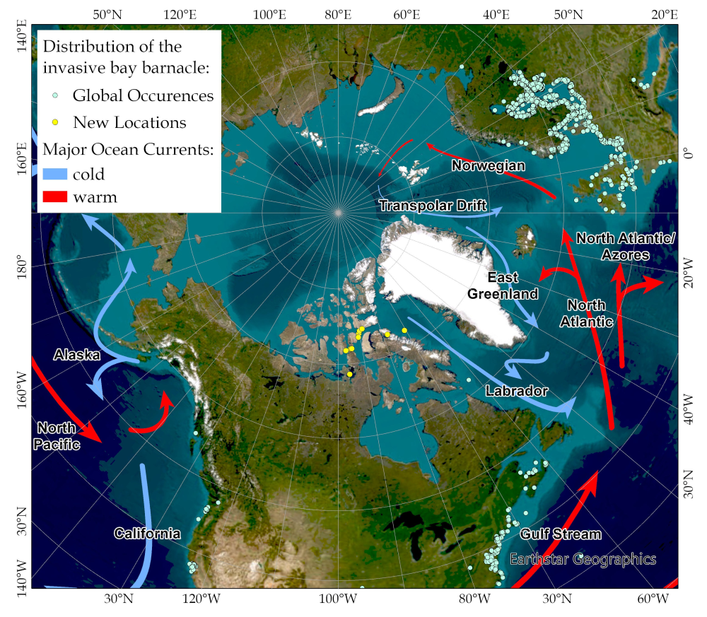 a map showing spread of invasive bay barnacle